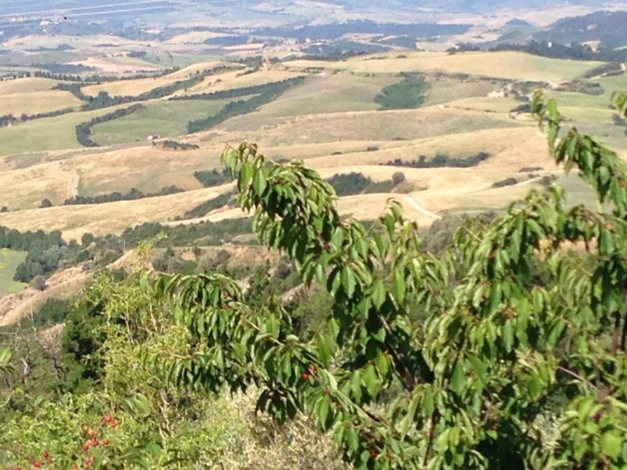 Podere Le Monache مونتايون المظهر الخارجي الصورة