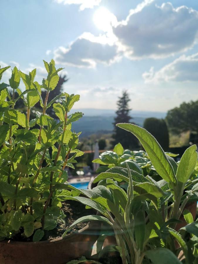Podere Le Monache مونتايون المظهر الخارجي الصورة